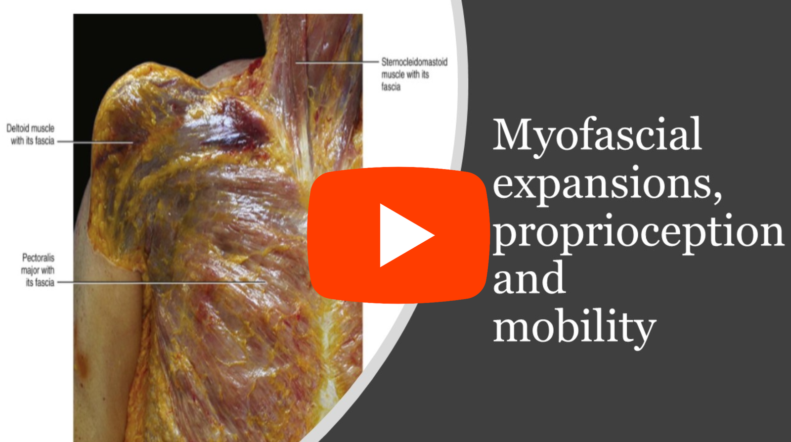 The Anatomy Behind Core-Tex Mobility Magic