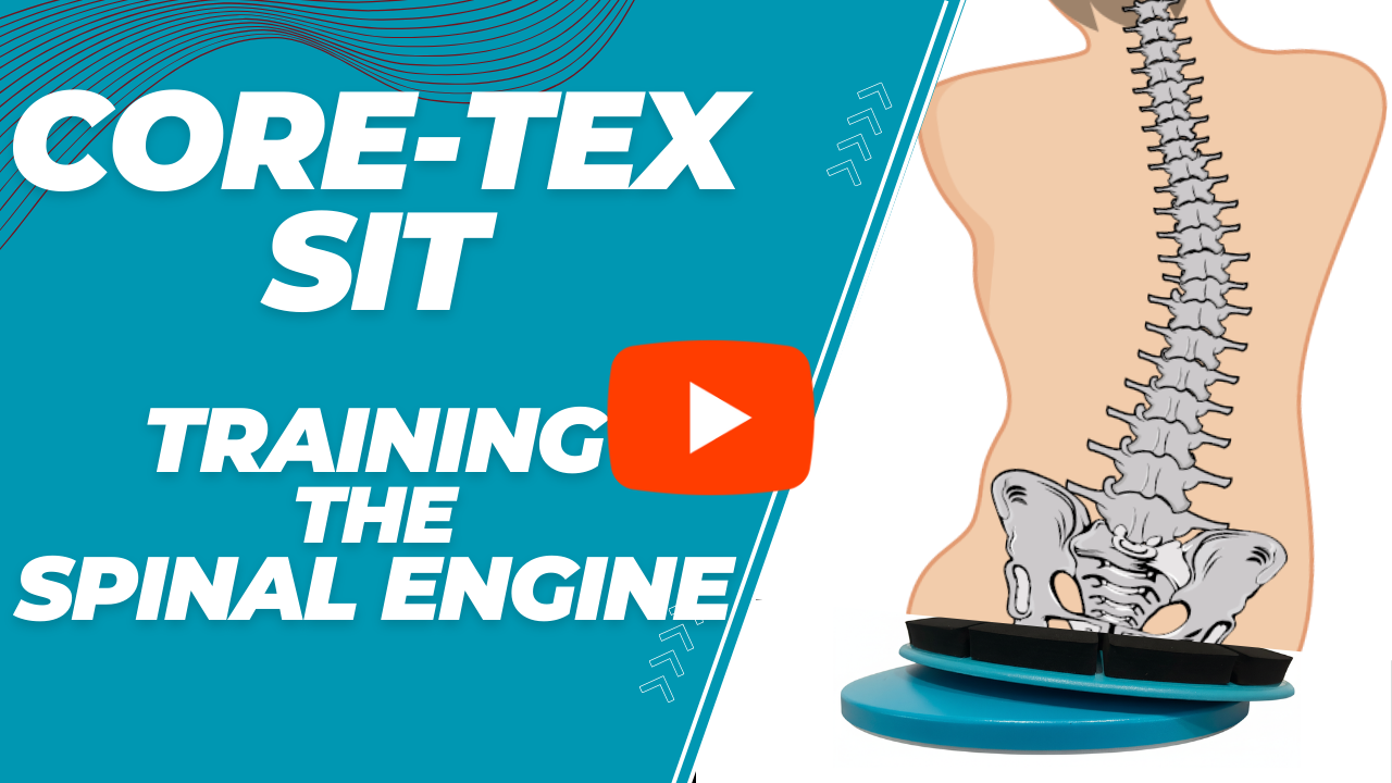 How Core-Tex Sit Trains the Spinal Engine for Back Health